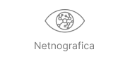 Netnografica Logo