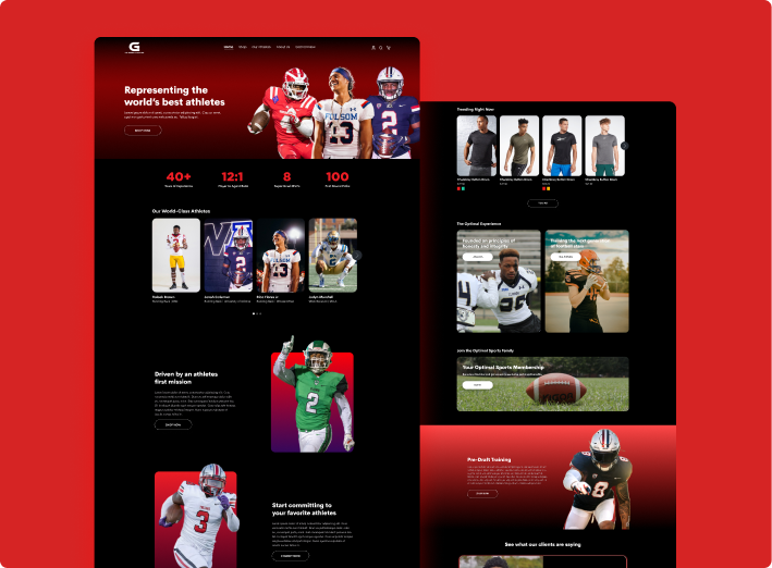 Photo showing Gridiron's website that ThrillX designed and developed